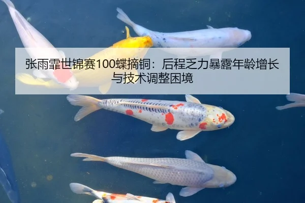 张雨霏世锦赛100蝶摘铜：后程乏力暴露年龄增长与技术调整困境