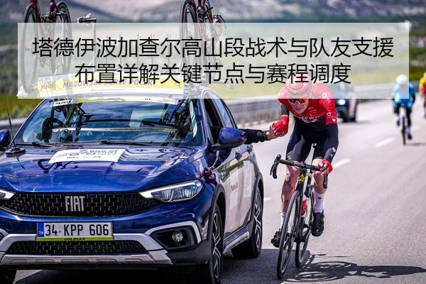 塔德伊波加查尔高山段战术与队友支援布置详解关键节点与赛程调度