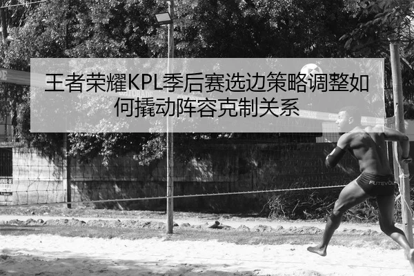wang-zhe-rong-yao-ji-hou-sai-xuan-bian-ce-lve-tiao-zheng-ru-he-qiao-dong-zhen-rong-ke-zhi-guan-xi-2-992.jpg