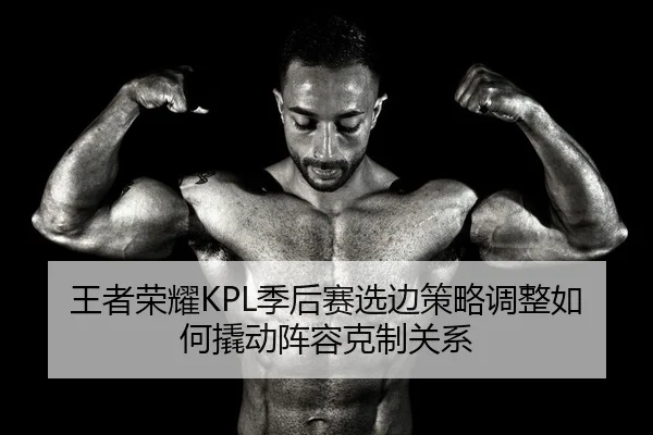 王者荣耀KPL季后赛选边策略调整如何撬动阵容克制关系